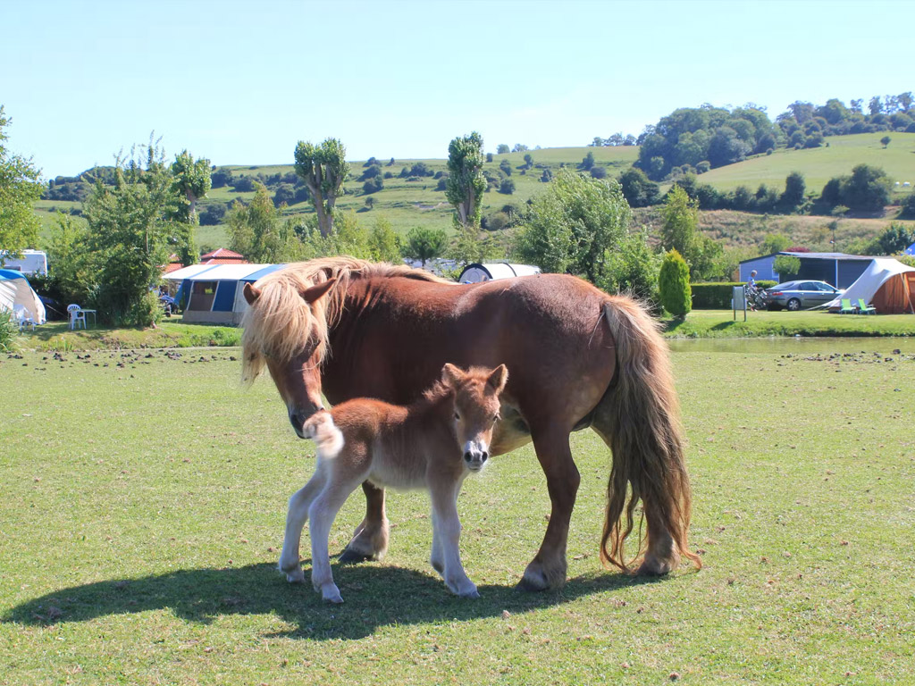 Camping Le Marqueval 2
