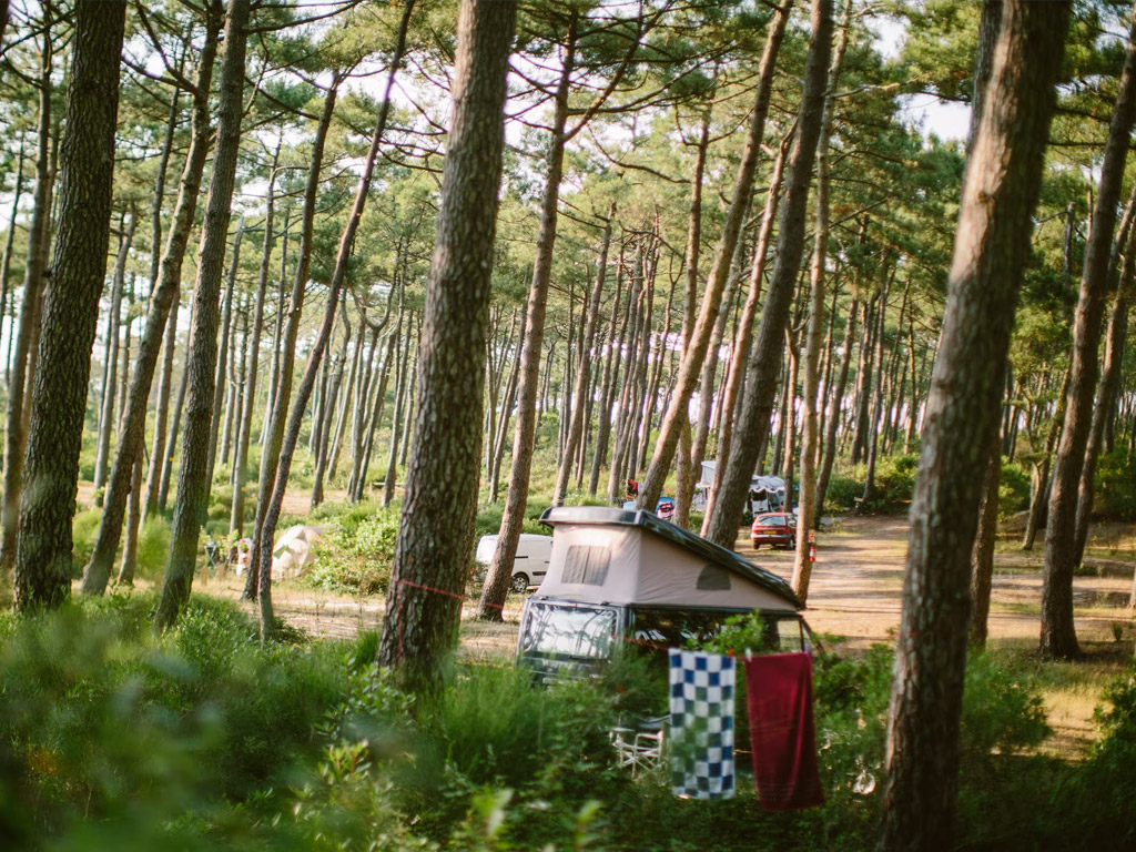 Camping Naturiste Arnaoutchot 8