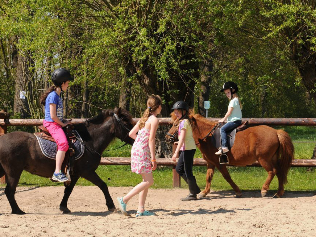 Camping De Meibeek 3