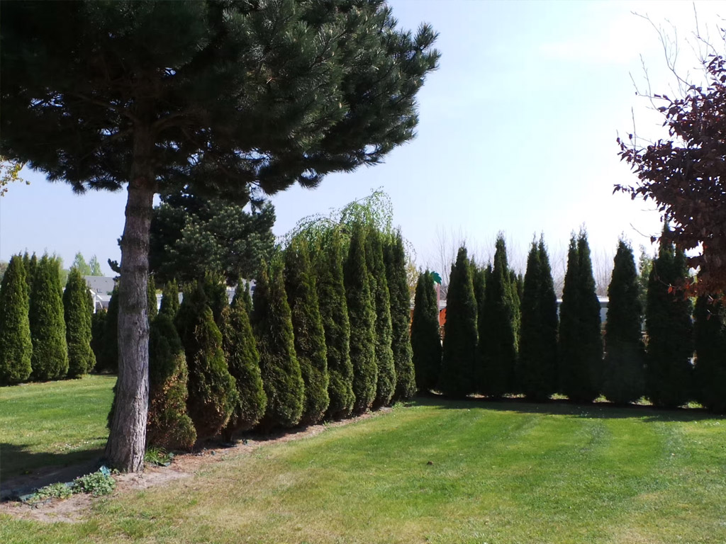 Camping Capfun Route Blanche 4