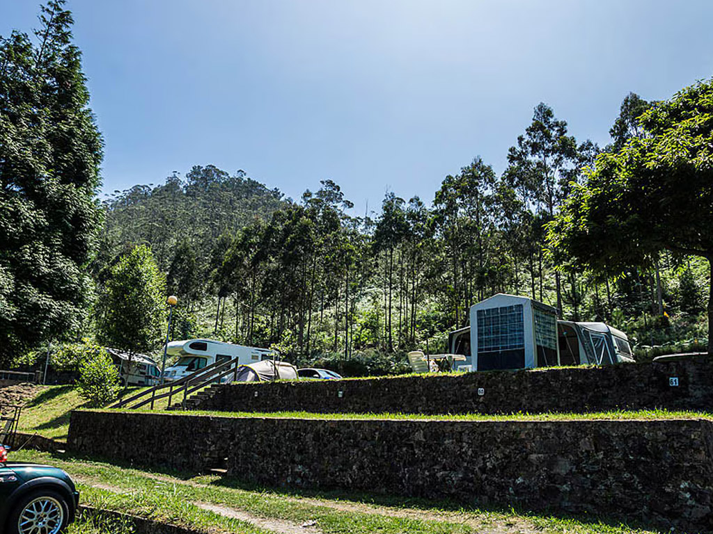 Camping Hortensias 8