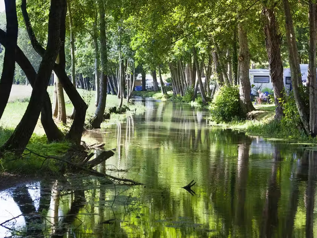 Flower Camping Domaine Du Buisson 3
