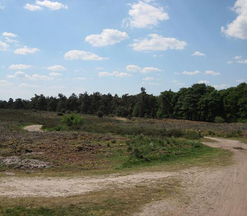 Kamperen Nederland 9