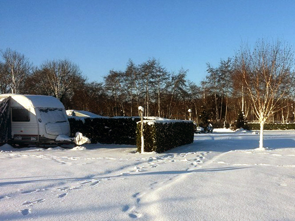 Wintercamping in Brabant