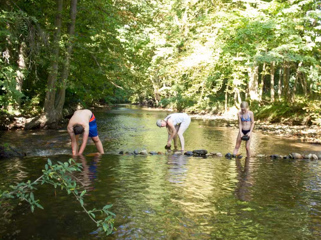 Camping Domaine Des Lilas 3