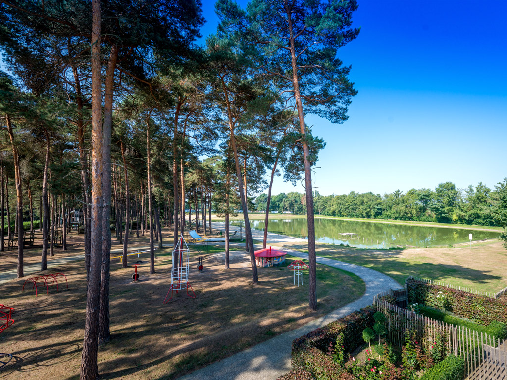 Camping Goolderheide 10