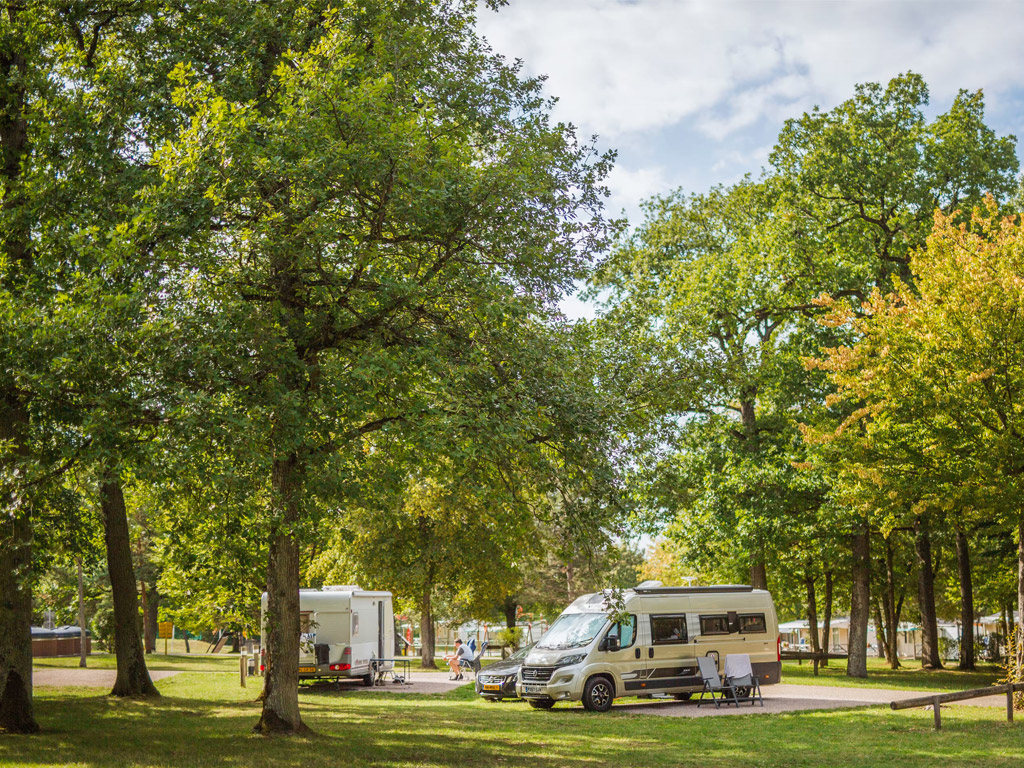 Camping Le Brabois 1