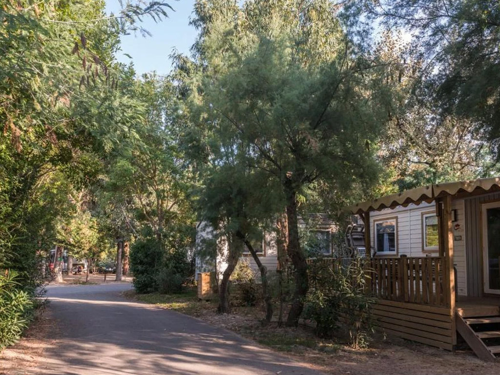 Camping Arinella Bianca 5