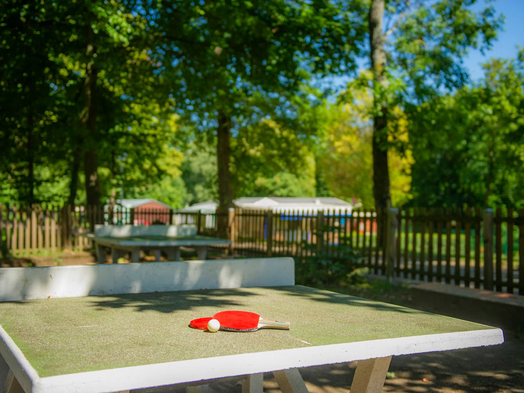 Homair Le Parc De La Fecht 8