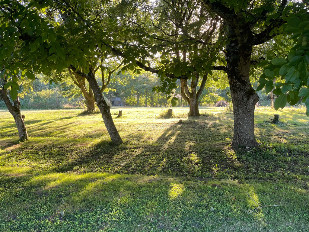 Camping A La Ferme Raviere 1