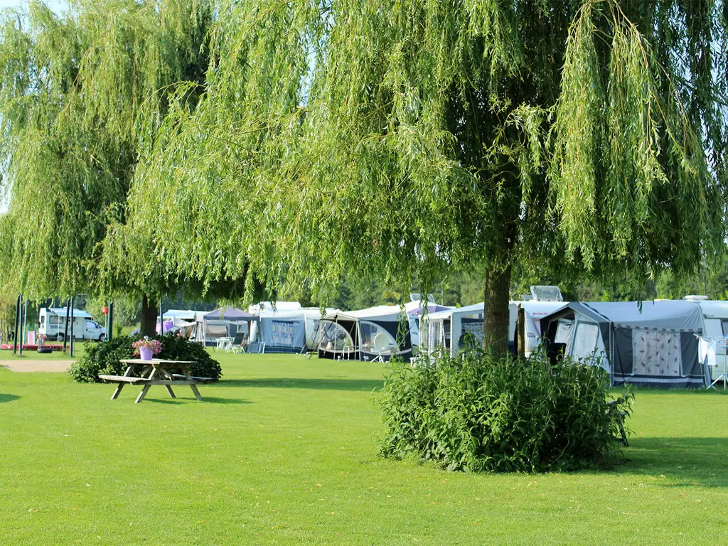 Campingplatz mit Hundebetreuung