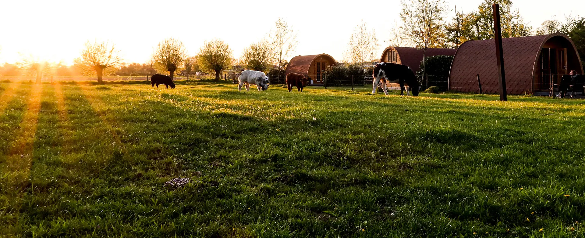 Foto: Boerderijcamping Johan en Caroline