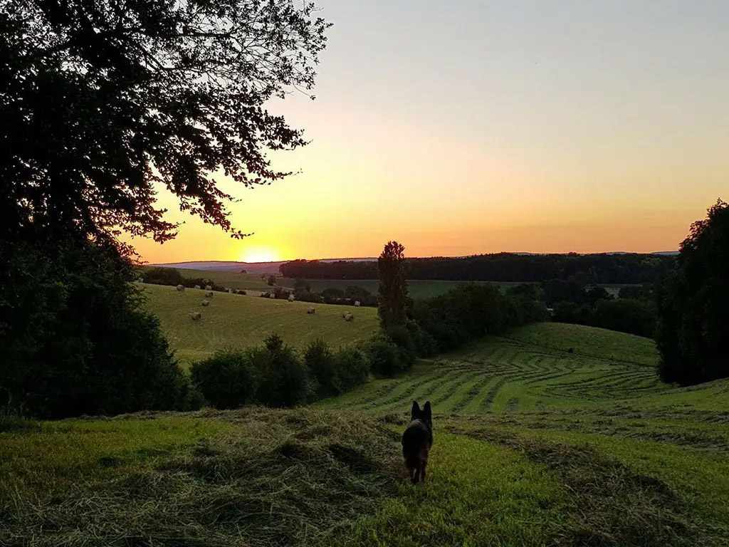Idealer Übernachtungsort auf dem Weg in den tiefen französischen Süden oder nach Spanien