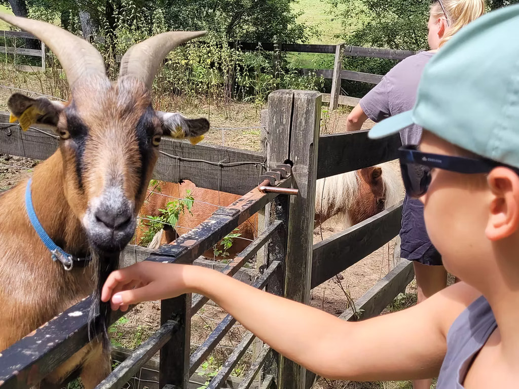 Camping Moulin De La Geneste 14
