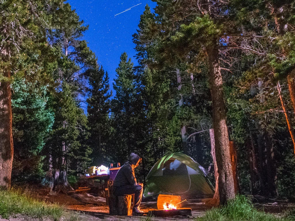Zurück zu den Grundlagen