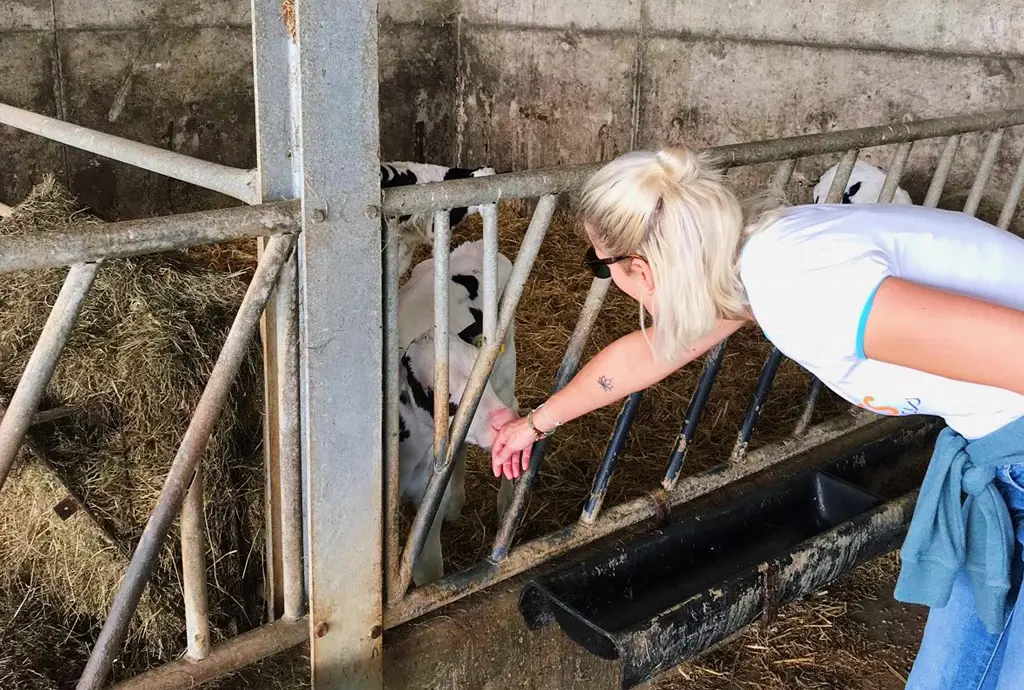 Camping auf dem Bauernhof