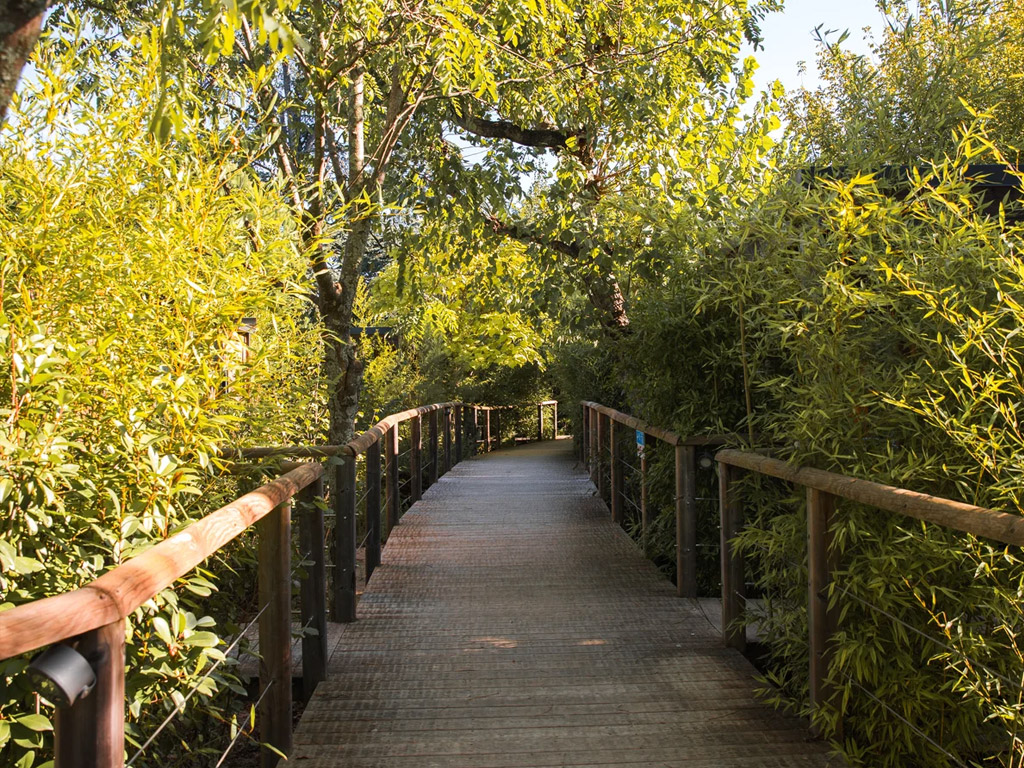 Camping Rives D Arc 9