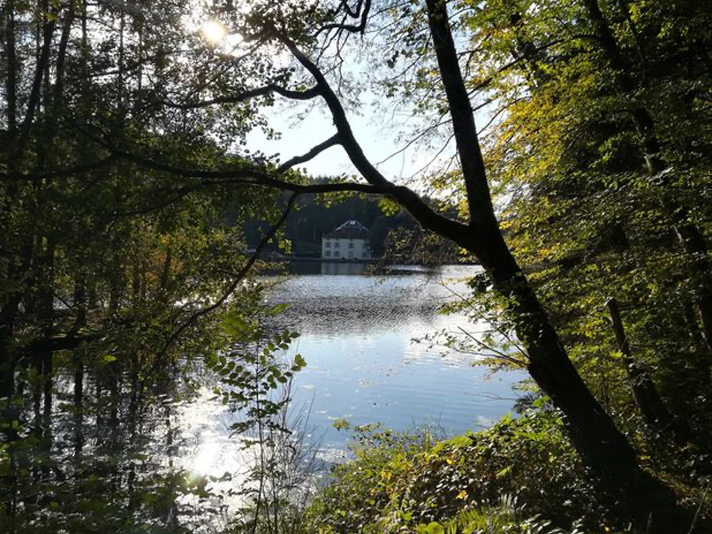 La Clairière Du Verbamont 9