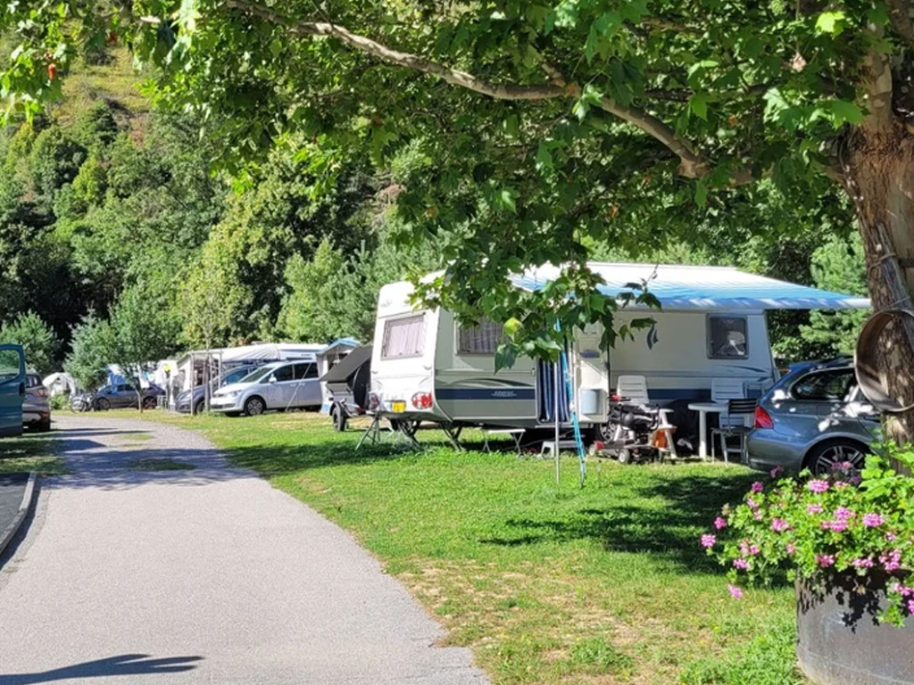 Camping Santa Monica 2