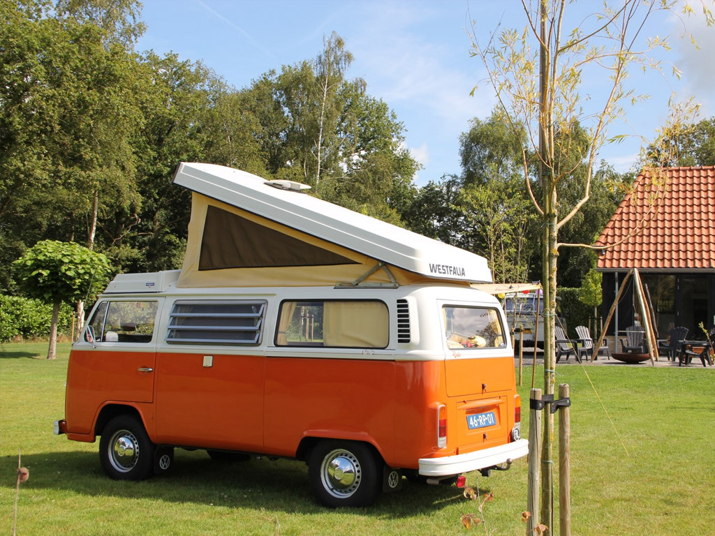 Camping Sparjebird 2