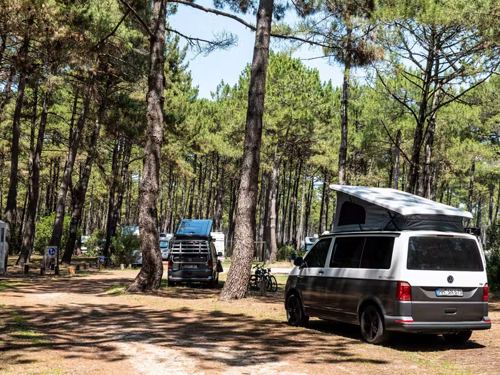 Camping MS Le Vivier 5