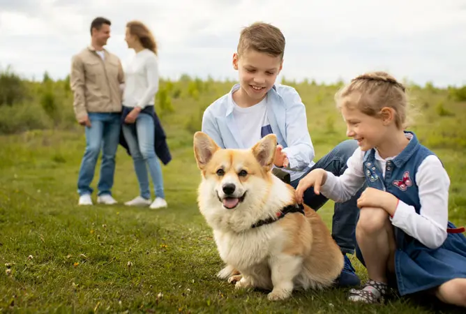Mit dem Hund in den Urlaub: So wird es ein toller Urlaub zu zweit