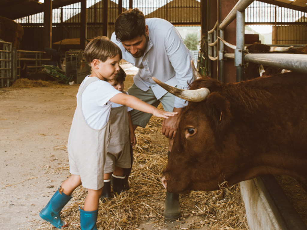 Camping La Ferme De Fontenille 2