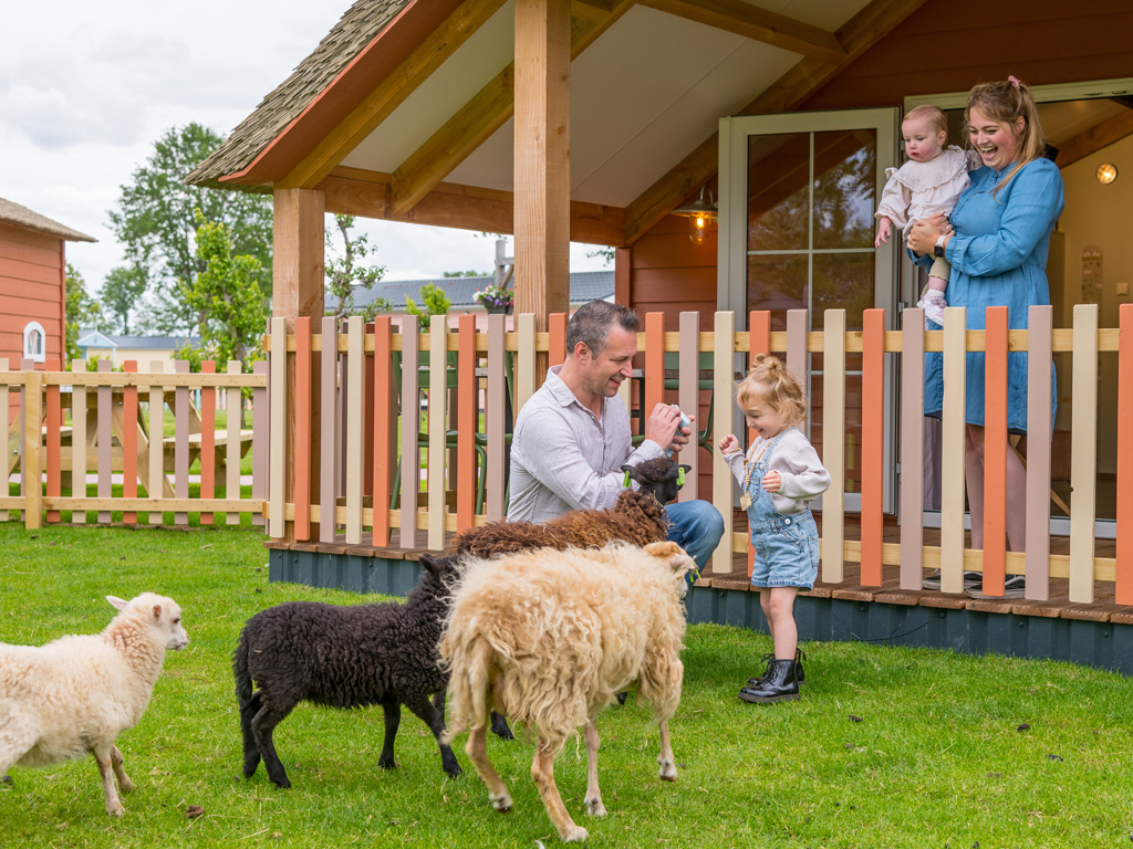 Vakantiepark Molenwaard 5