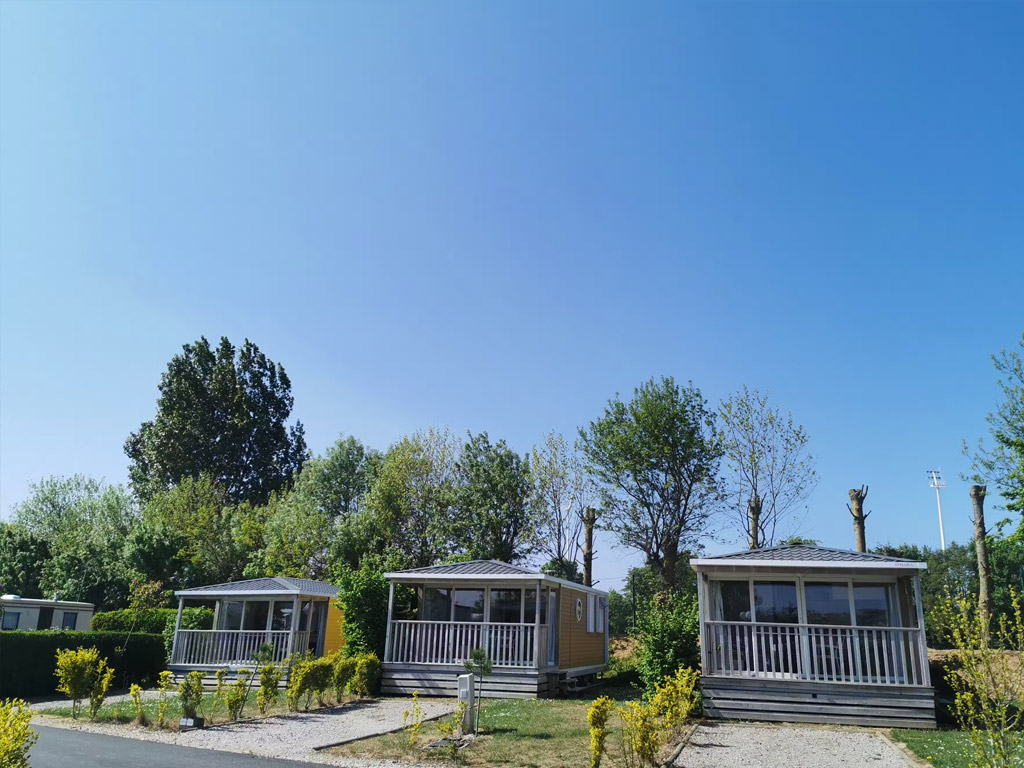 Flower Camping Vitamin 2