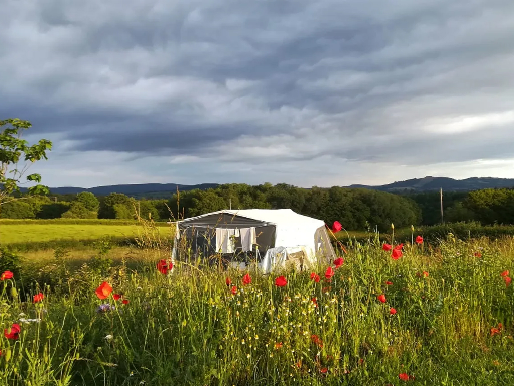 Camping Le Petit Montperroux 5