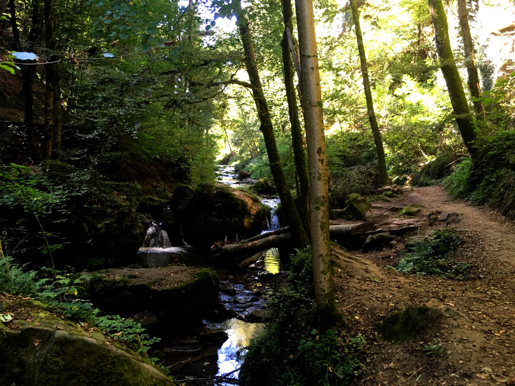 Im Herbst ist die Natur wunderschön!