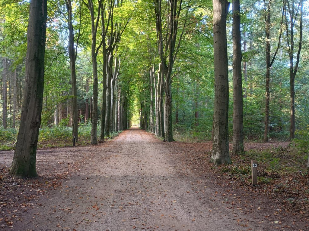 Landgoed Het Jagershuis 4