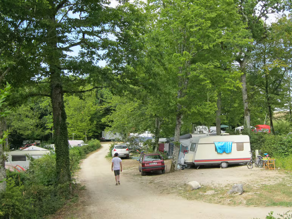 Flower Camping De La Foret 4