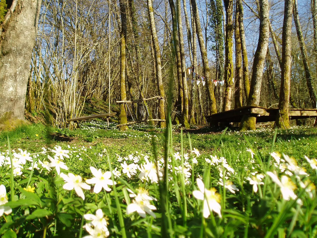 Camping Moulin De La Geneste 15