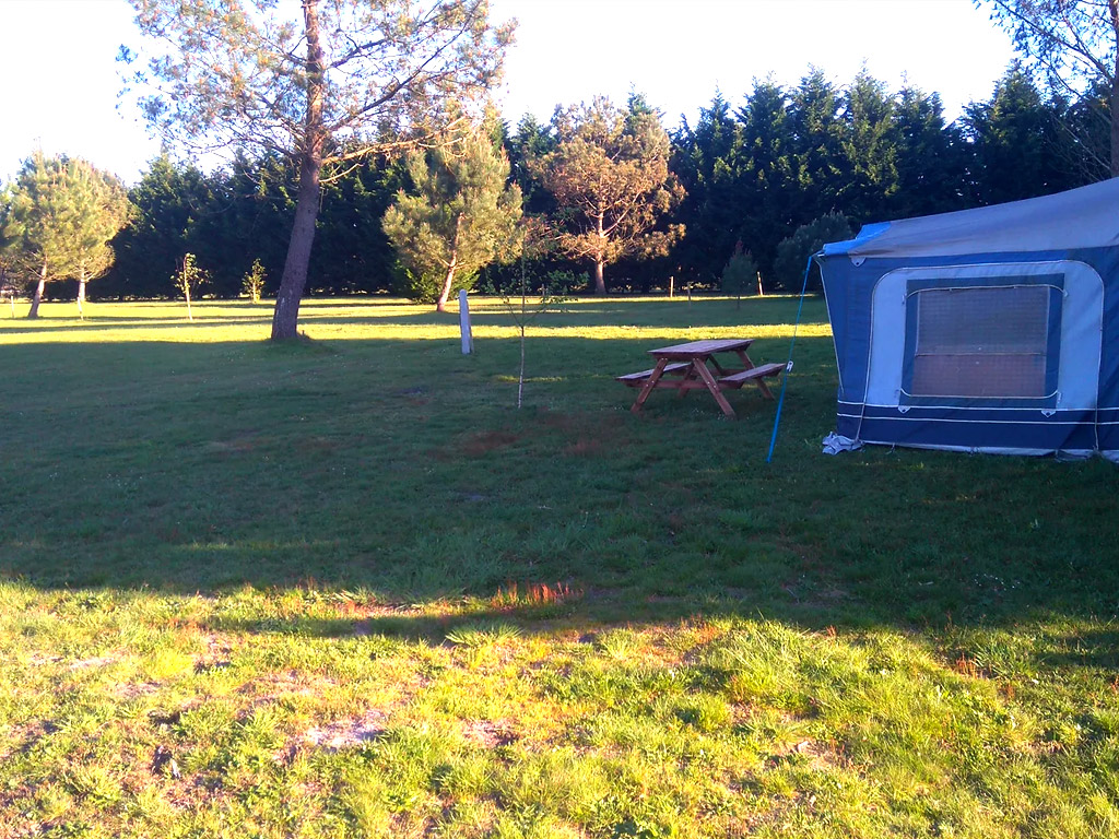 Les Grands Chenes Et Les Ajoncs 8