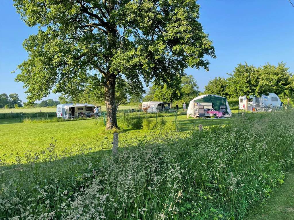 Camping La Petitiere 5