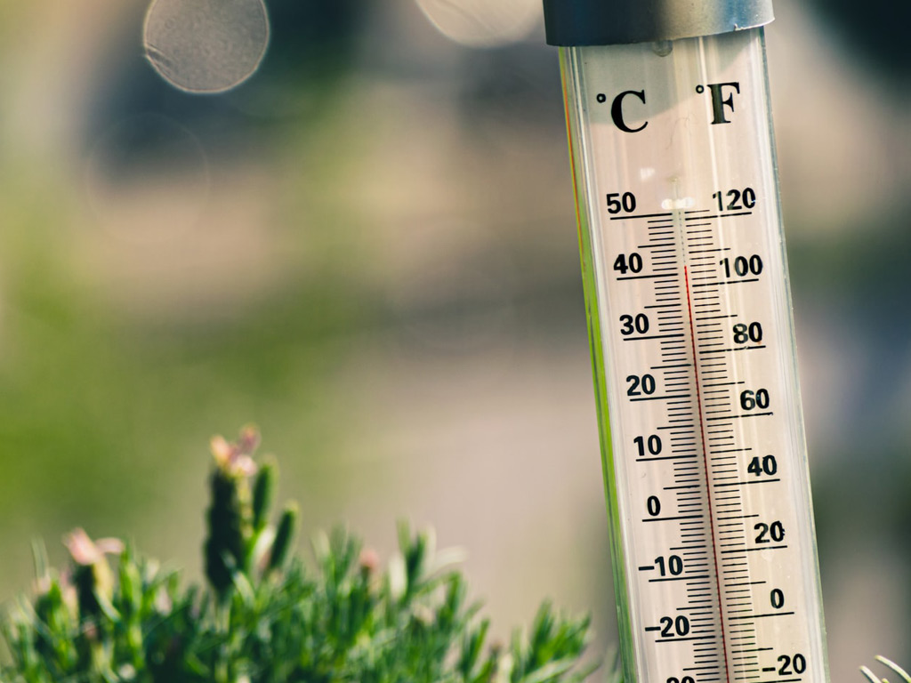 Zu heiß in Ihrem Zelt