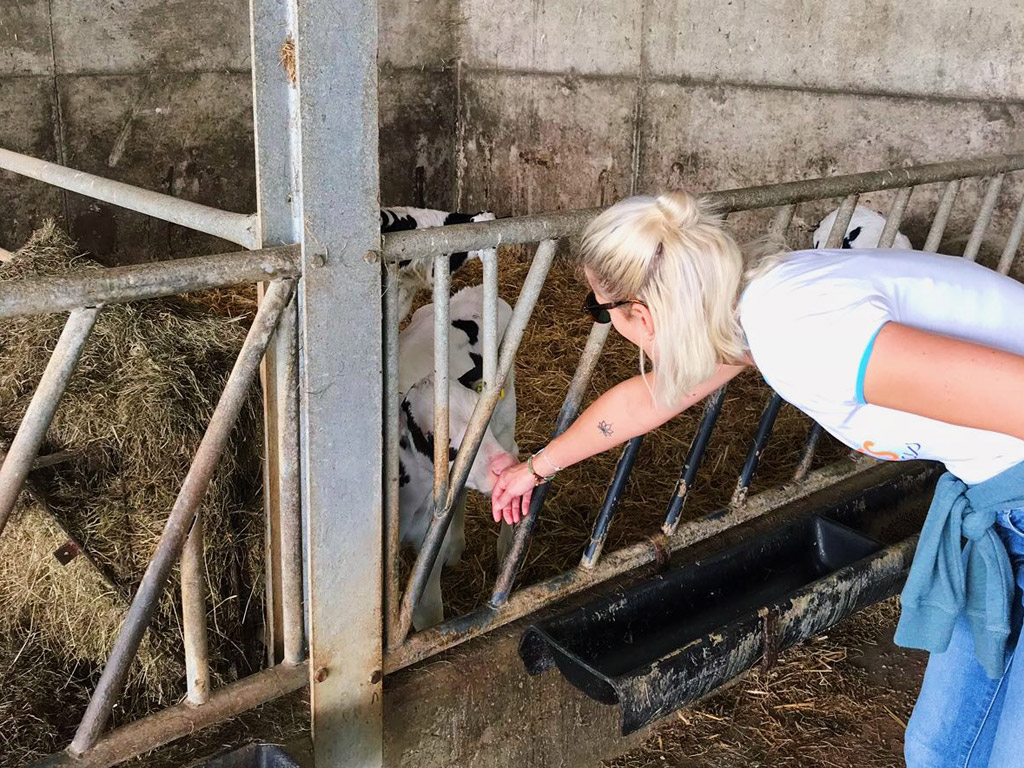 Camping auf dem Bauernhof
