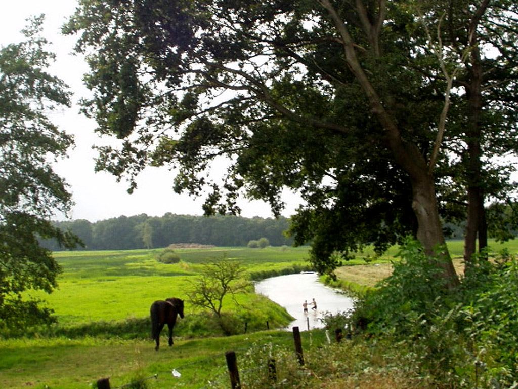 Naturlehrpfad Drentsche Aa