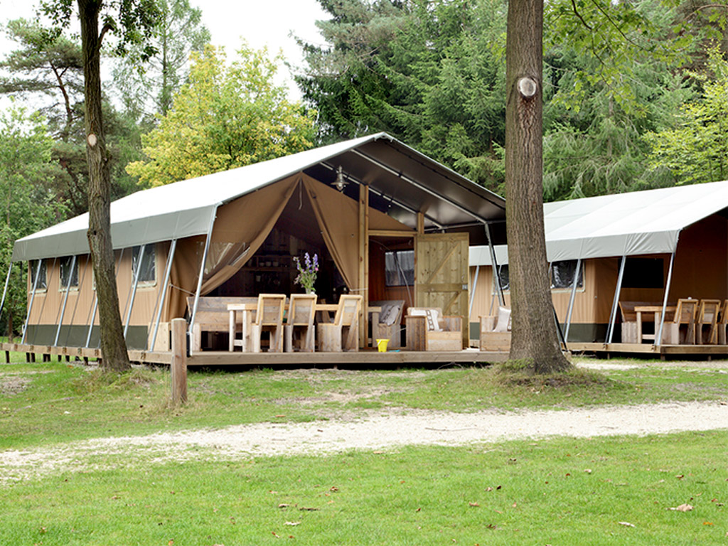Camping inmitten der großen Fünf auf der Veluwe