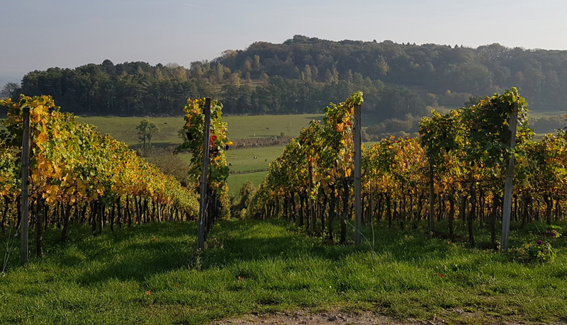 Gelderland 9 (1) (1) (1)