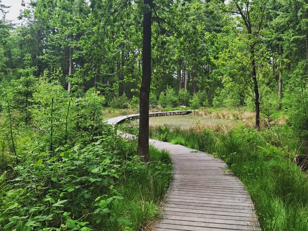 Camping Sparjebird 4