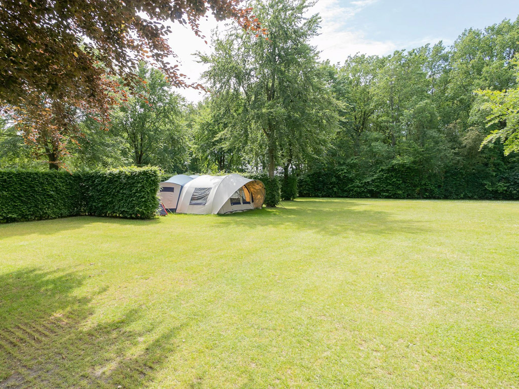Camping De Beukenhof 4