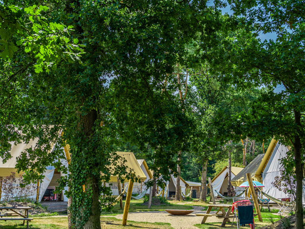 Europarcs De Reestervallei 11