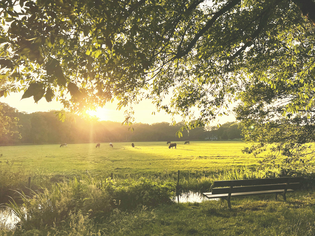 Camping D N Aanloop 5