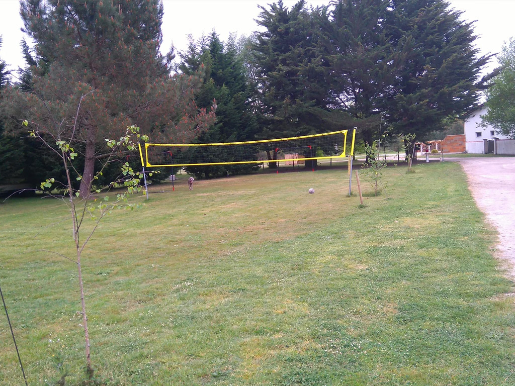 Les Grands Chenes Et Les Ajoncs 6