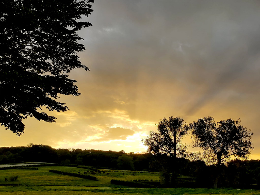 Zum ersten Mal gemeinsam Campingurlaub machen