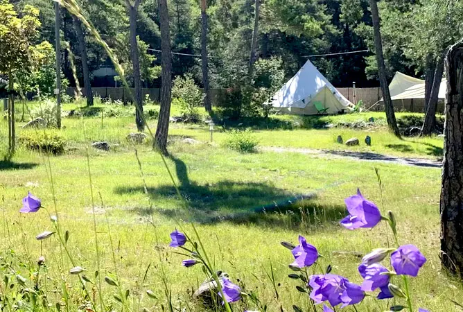 Die 15 schönsten Campingplätze mit Charme in Frankreich