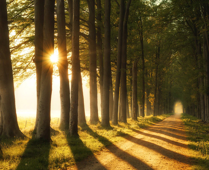 Kamperen Nederland 11 (1) (1) (1)