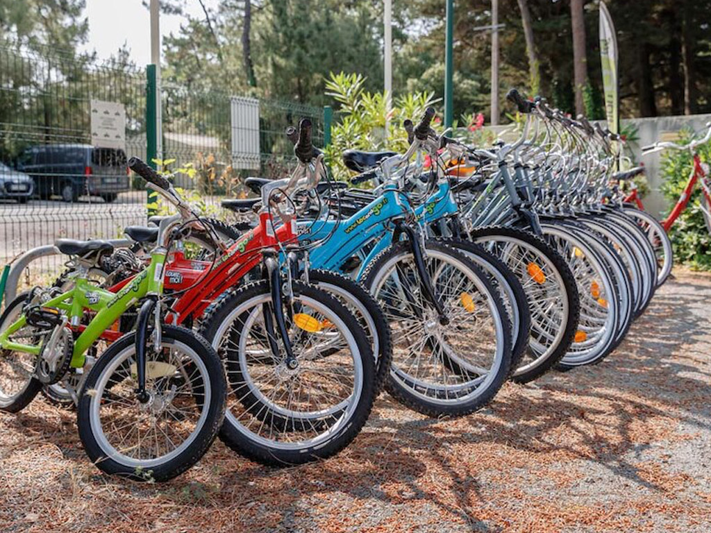 Camping Le Bois De La Gachere 8